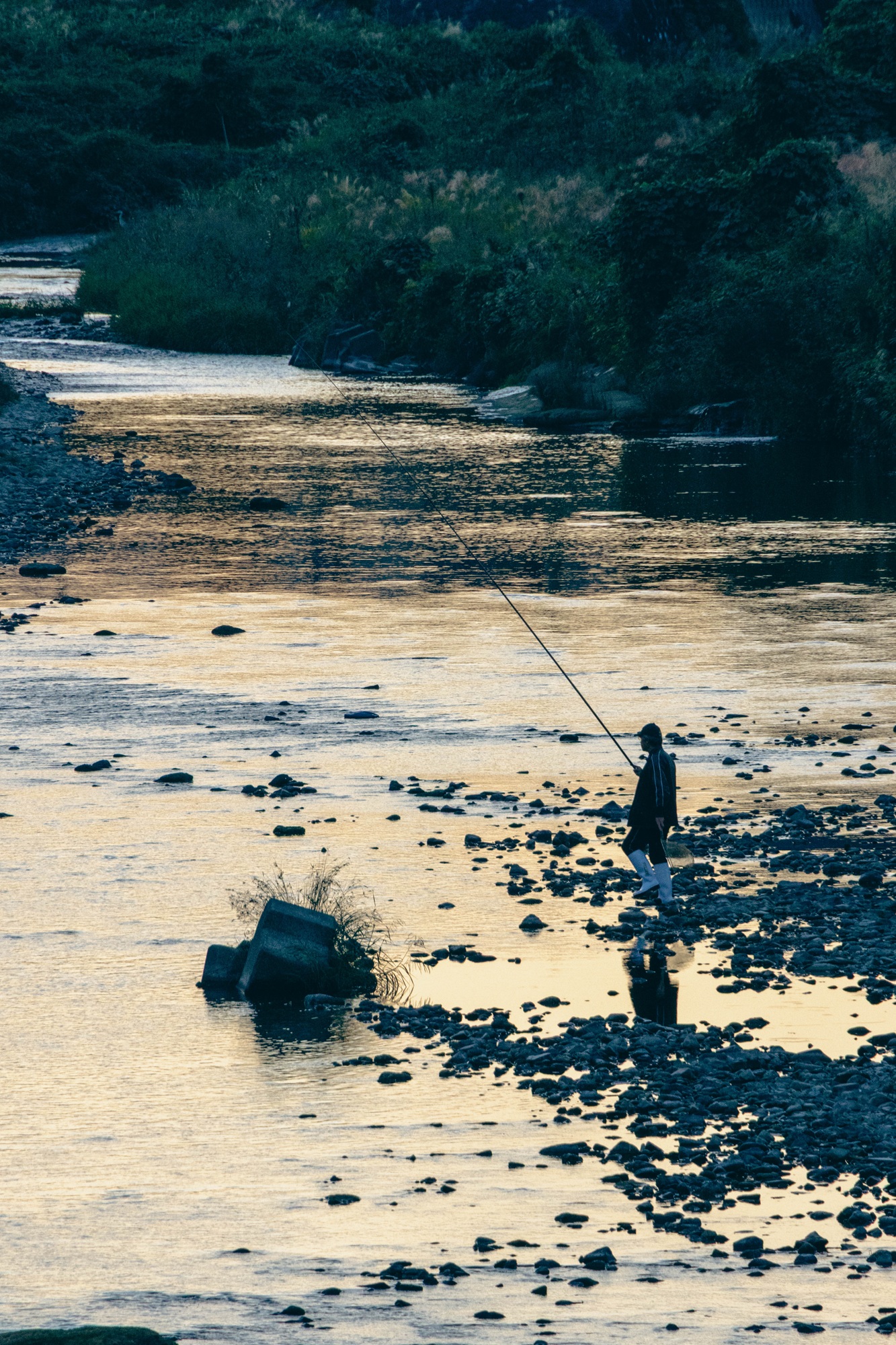 Asakawa Sunset Angler