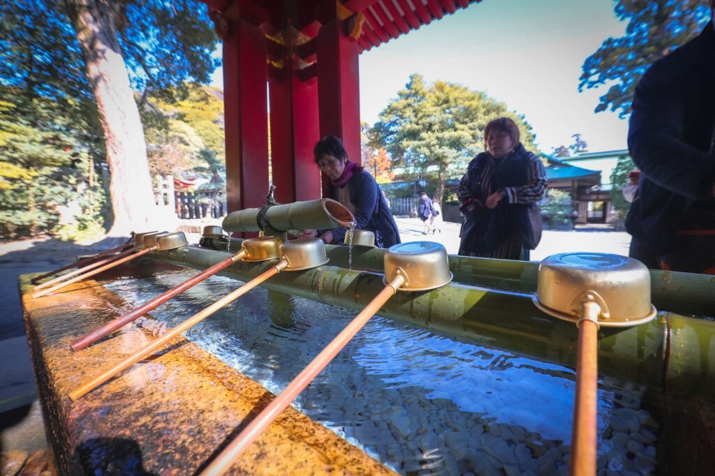 竹から流れる水と、黄金色の柄杓が並ぶ瑞々しい手水舎の風景。