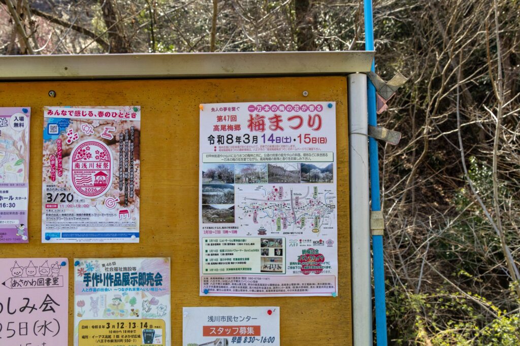 高尾梅郷梅まつりの案内ポスターが貼られた掲示板。令和8年3月14日、15日の開催告知が大きく記されている。