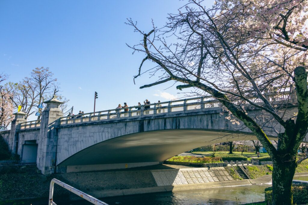 hachioji-bridge-sakura-viewers