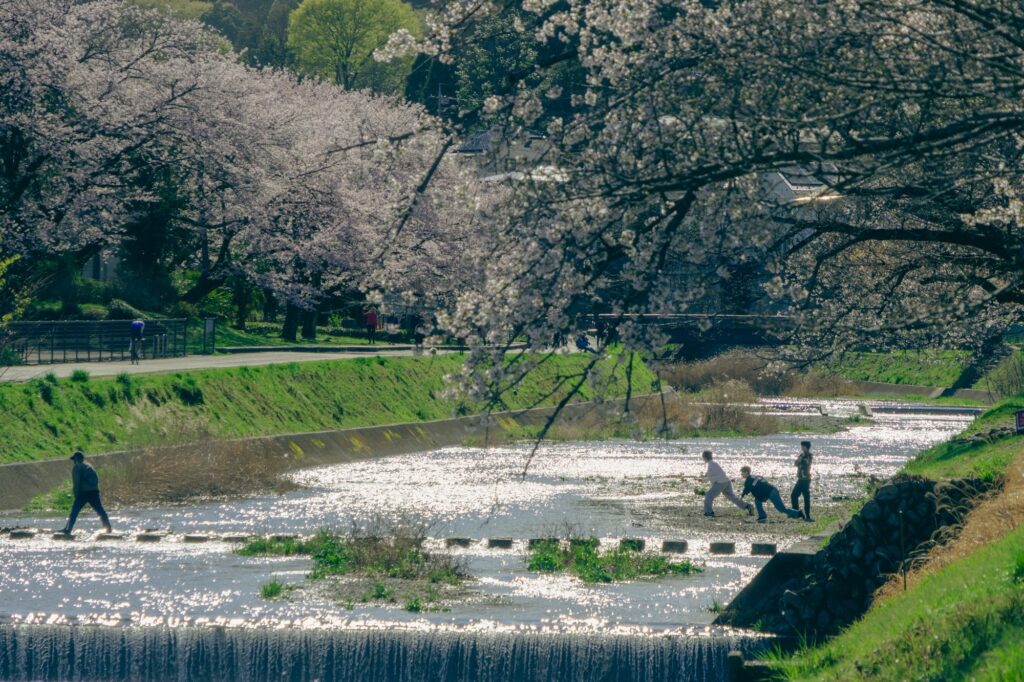 hachioji-minamiasakawa-river-children