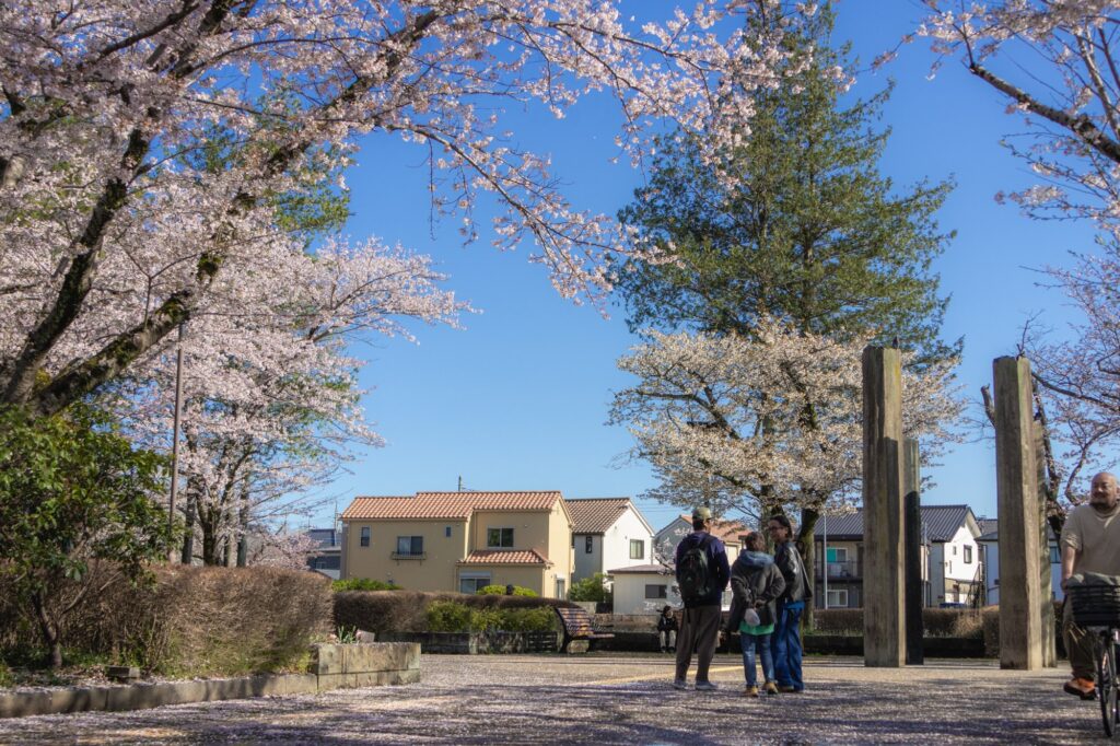 hachioji-sakura-park-visitors
