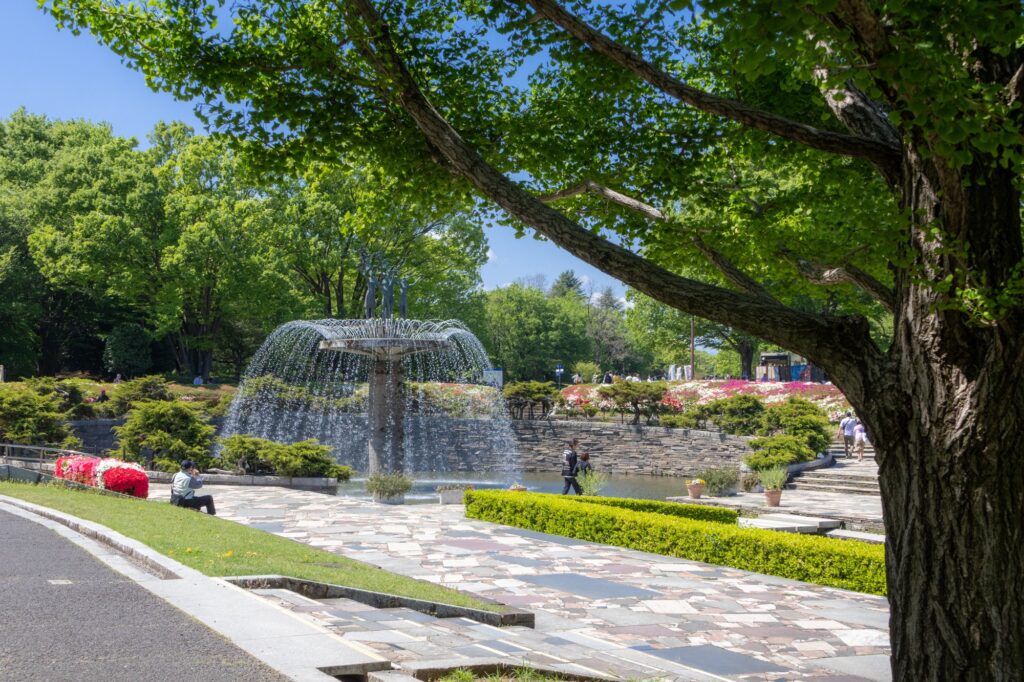 tachikawa-showa-park-fountain-plaza-view